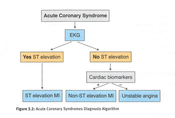 ACS Diagnostic Algorithm