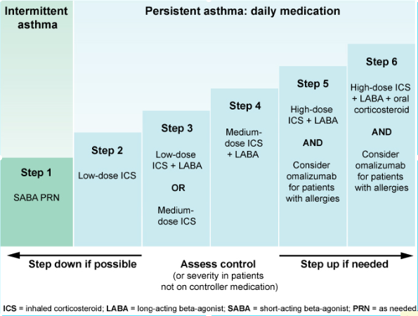 Asthma Management Algorithm