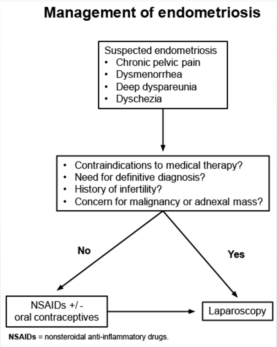Management algorithm for suspected endometriosis