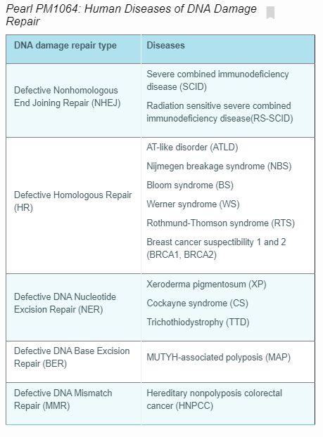 Human Diseases of DNA Damage Repair