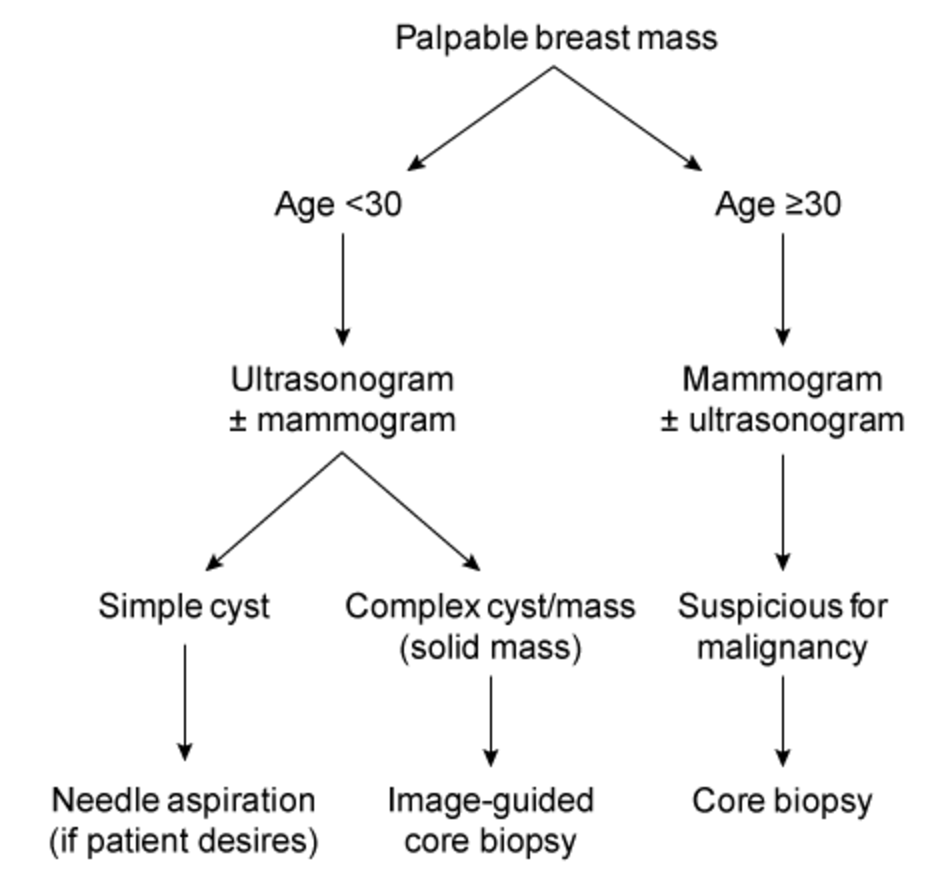 Diagnostic algorithm for a palpable breast mass
