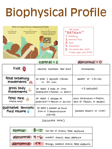 Biophysical Profile (BPP) Scoring and Interpretation