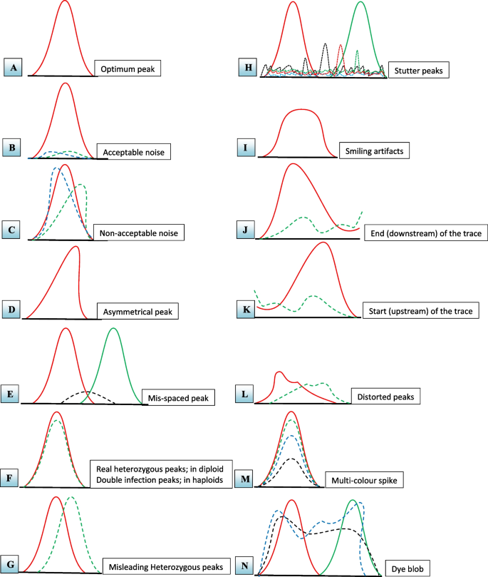 Sanger sequencing chromatogram interpretation guide