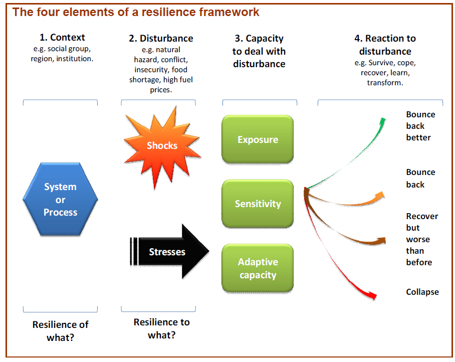Four elements of a resilience framework