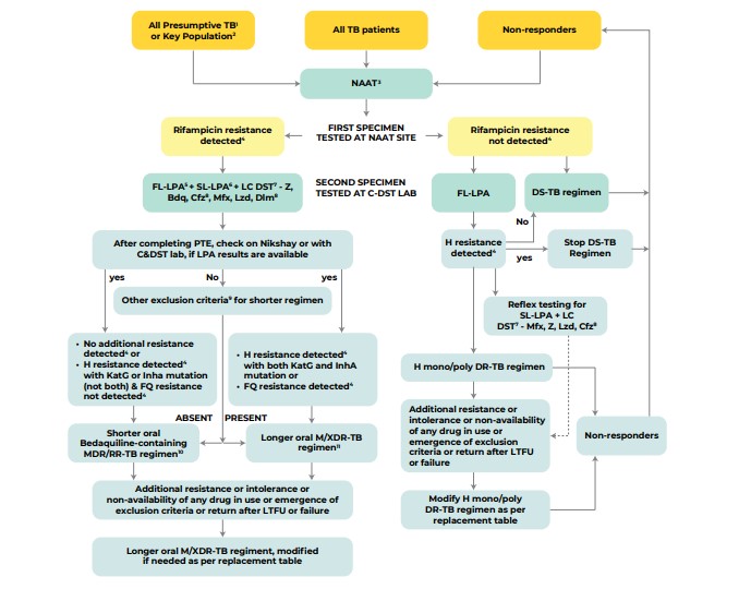 Tuberculosis diagnostic and treatment pathway