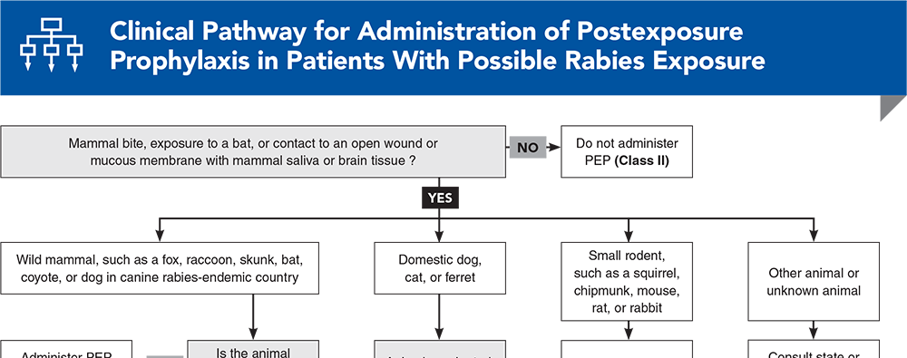 Rabies Postexposure Prophylaxis Clinical Pathway