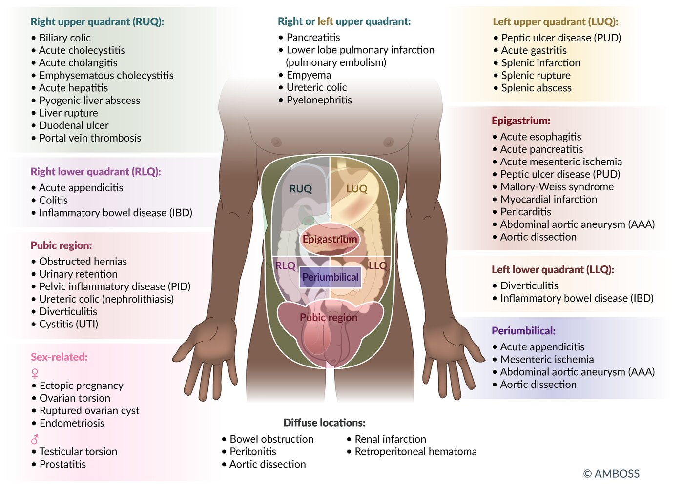 Differential diagnosis of abdominal pain by quadrant