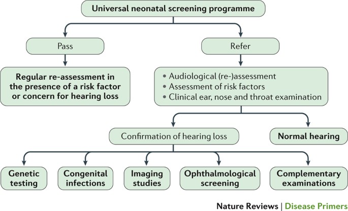 Congenital Anomalies of the Ear | Pediatric Otolaryngology - OnCourse ...