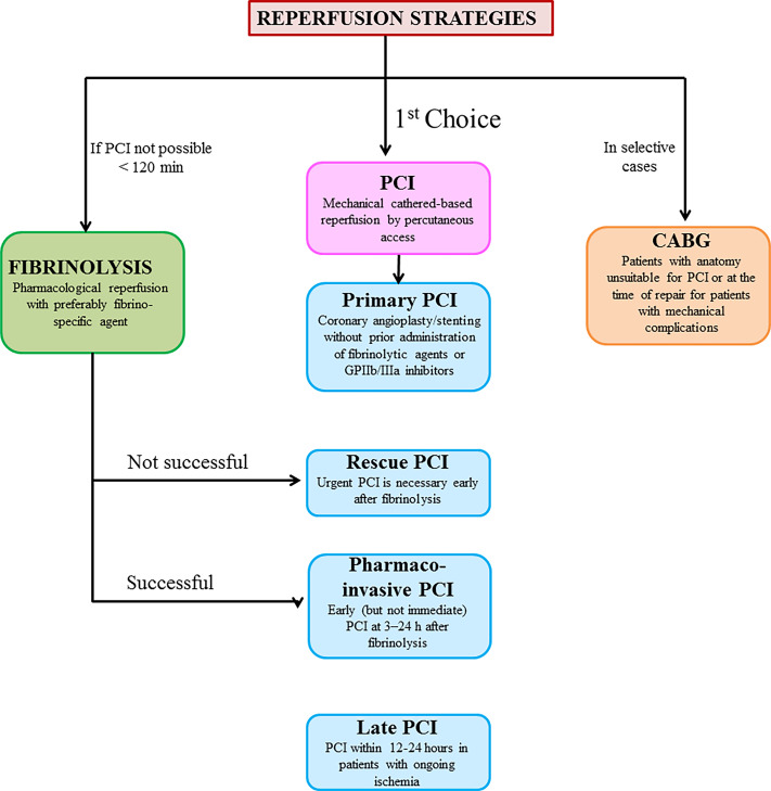 STEMI Reperfusion Strategy Flowchart