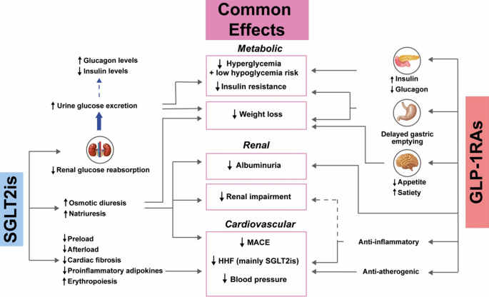 SGLT2 and GLP-1 RA effects on metabolic, renal, CV