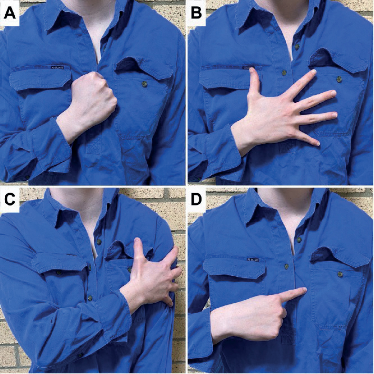 Chest Pain Evaluation | Clinical Manifestations and Presentation of ...