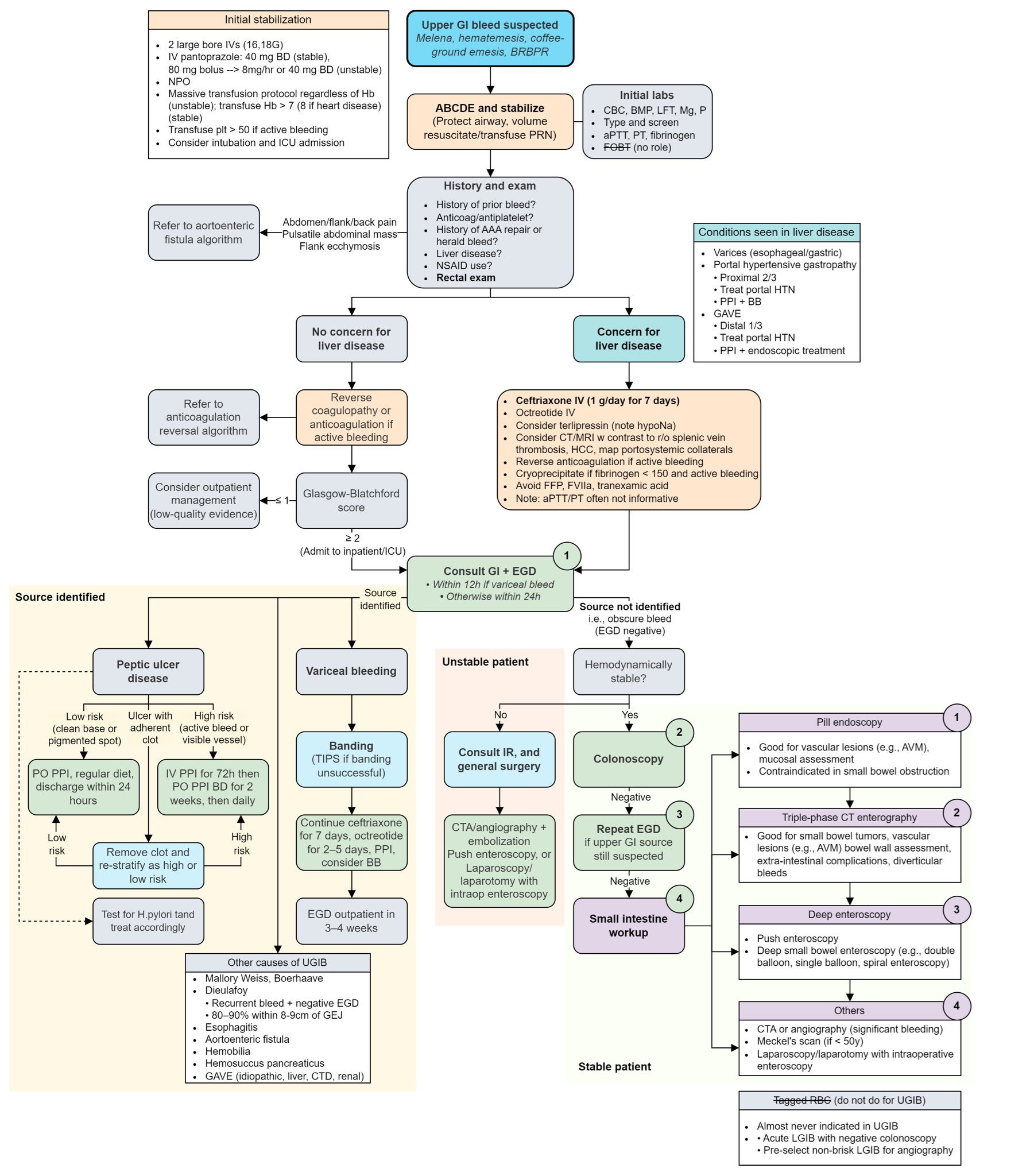 Management algorithm for upper GI bleeding showing initial stabilization and diagnostic pathways