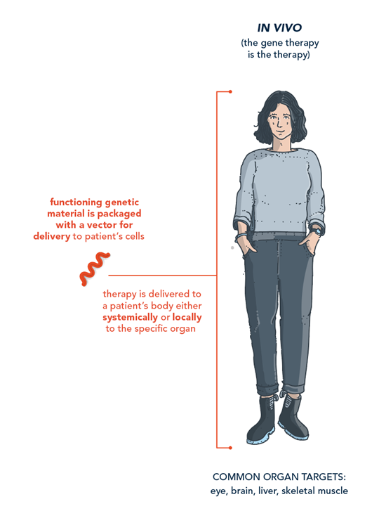 In Vivo Gene Therapy Diagram