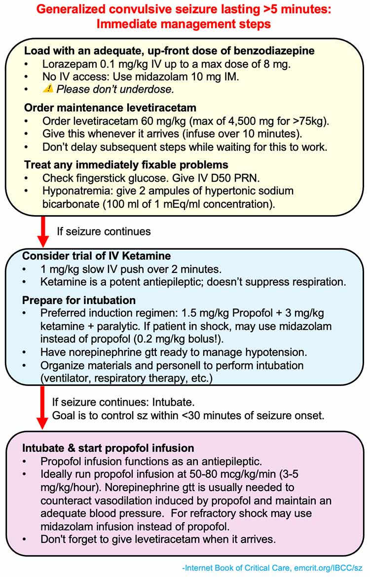Status Epilepticus Management Flowchart