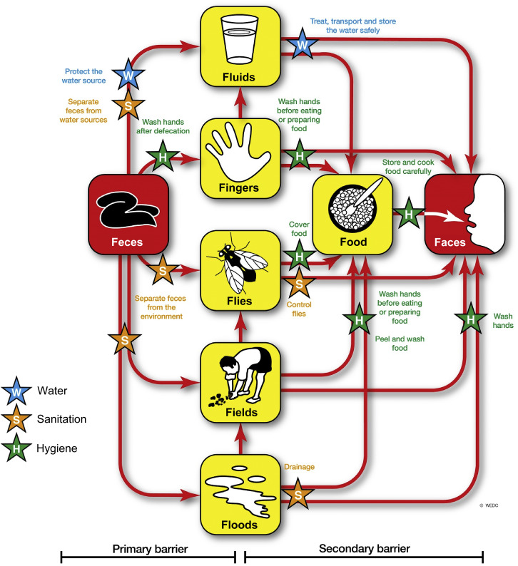 Environmental Transmission of Pathogens | Environmental Microbiology ...