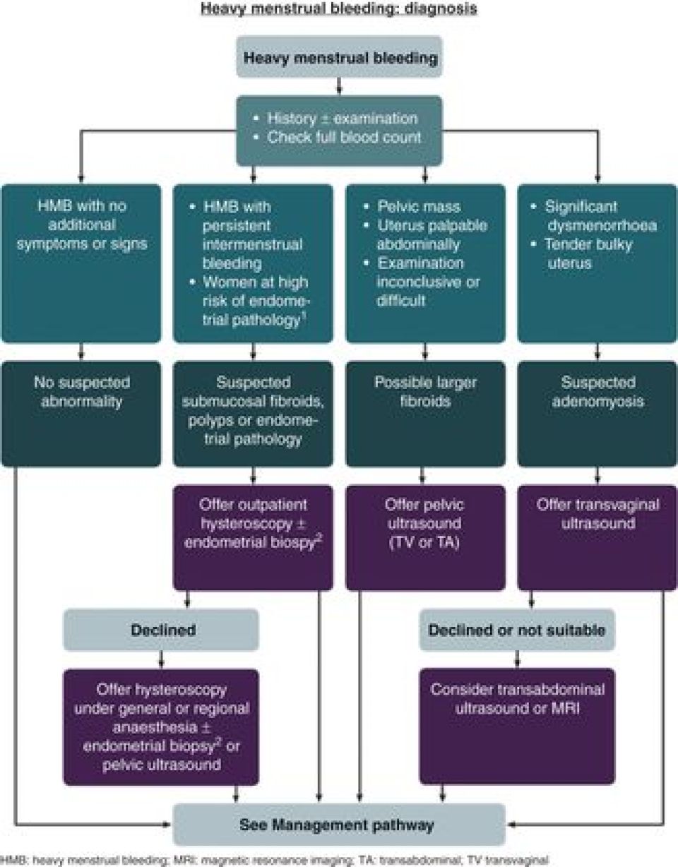 Diagnostic flowchart for heavy menstrual bleeding (HMB)