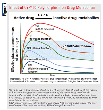 CYP2D6 Phenotypes and Drug Metabolism