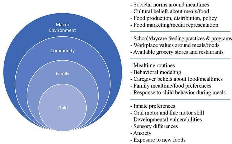 Multifactorial Etiology of Pediatric Feeding Disorders
