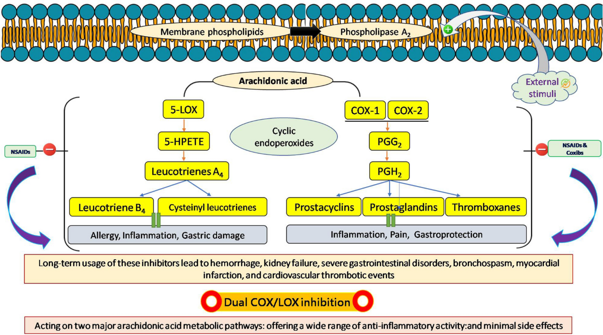 NSAIDs: Classification and Mechanism | Analgesics and Anti-inflammatory ...