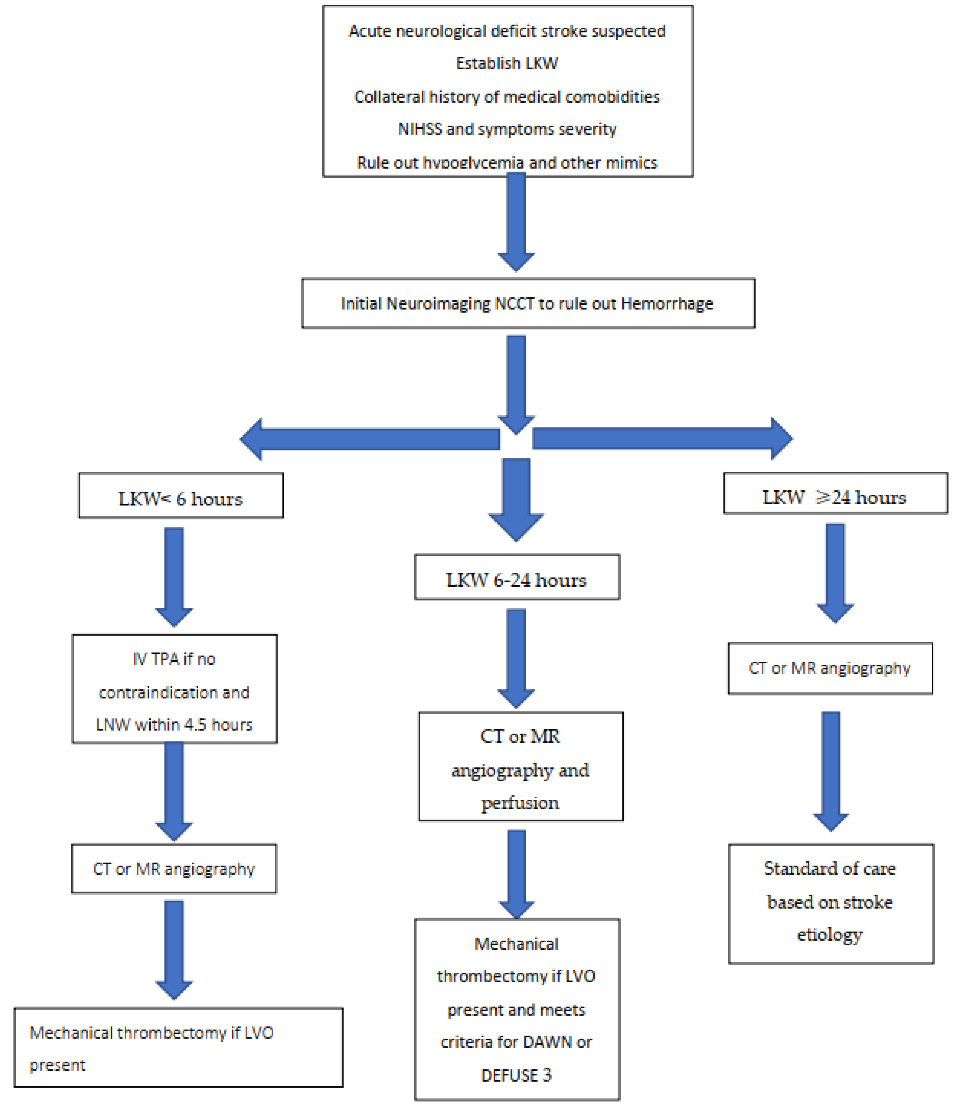 Acute Stroke Management Algorithm