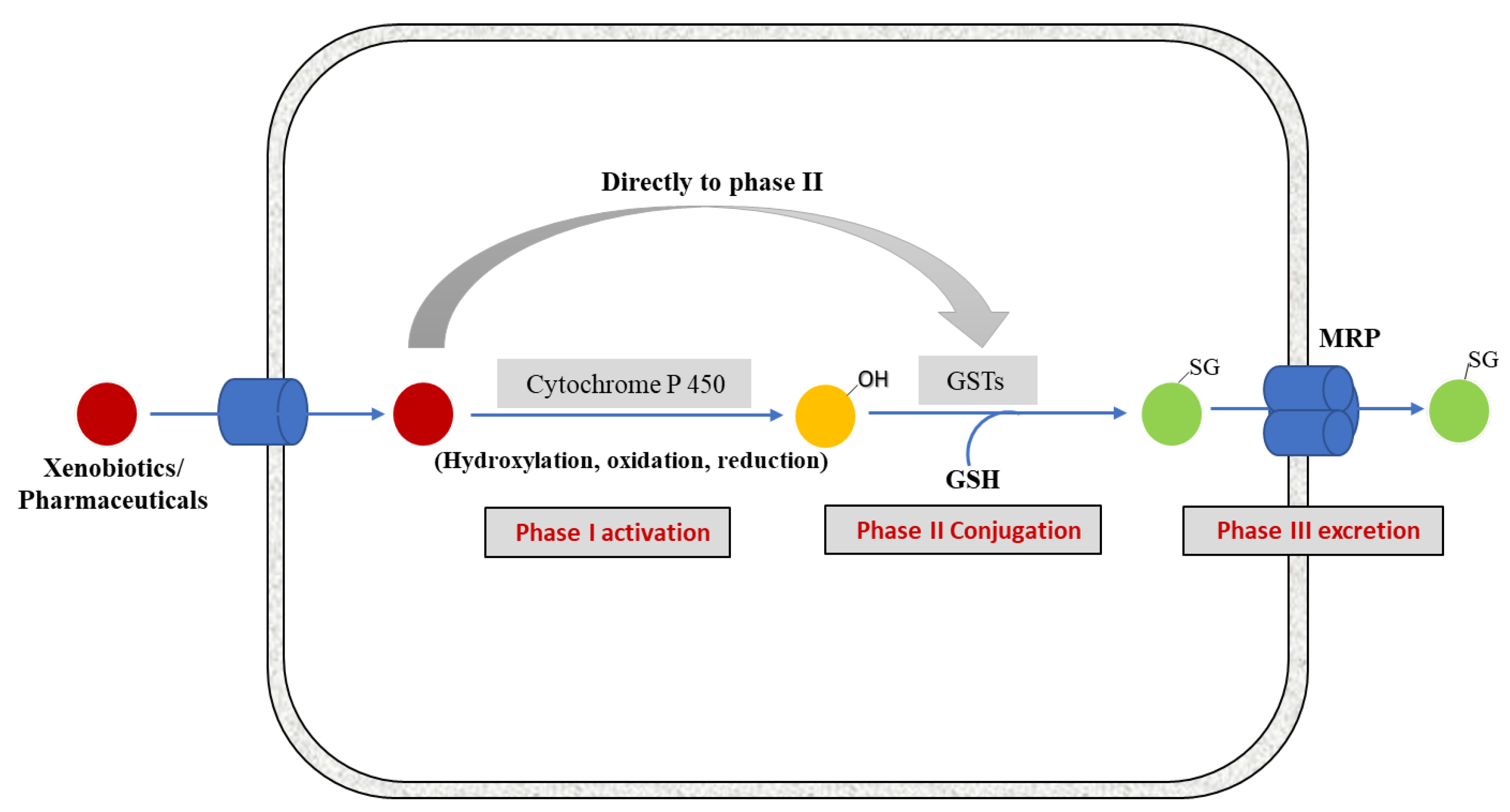 ebv and glutathione Stress-Induced Epstein-Barr Virus Reactivation