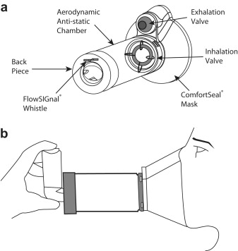 Valved holding chamber (spacer) with MDI and mask