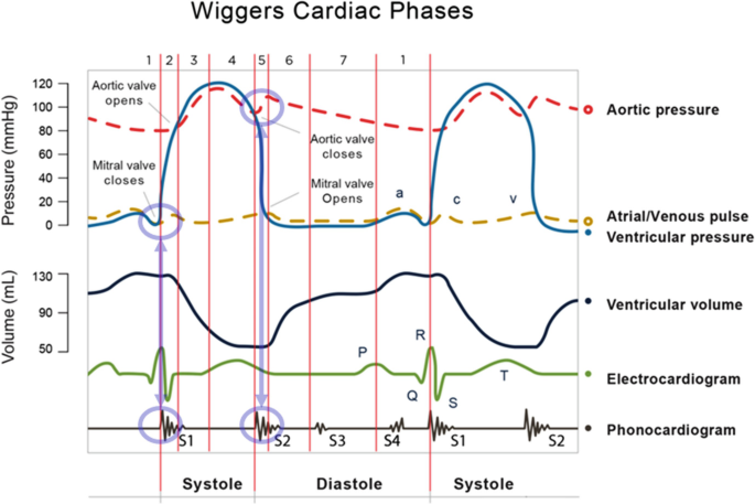 Isovolumetric contraction and relaxation | Cardiac cycle - OnCourse NEET-PG