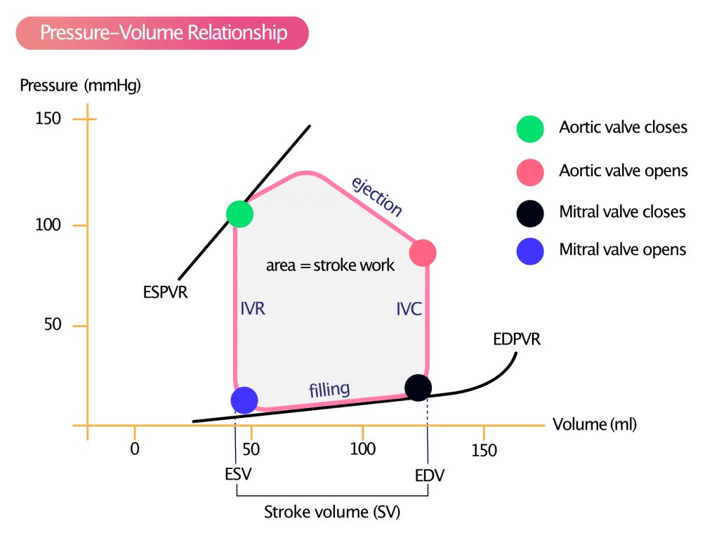Left Ventricular Pressure-Volume Loop