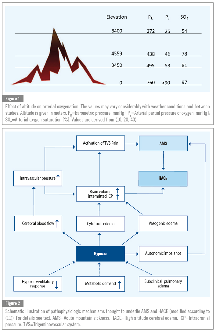 High Altitude Physiology and AMS/HACE Pathophysiology
