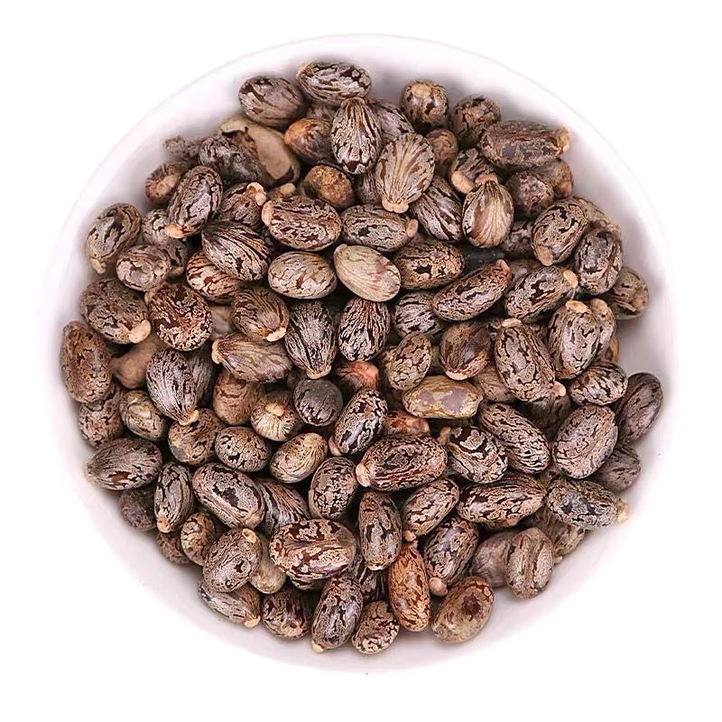 Image for question 774