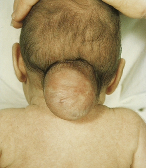 Image for question 1