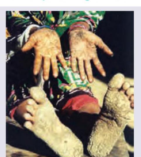 Image for question 5