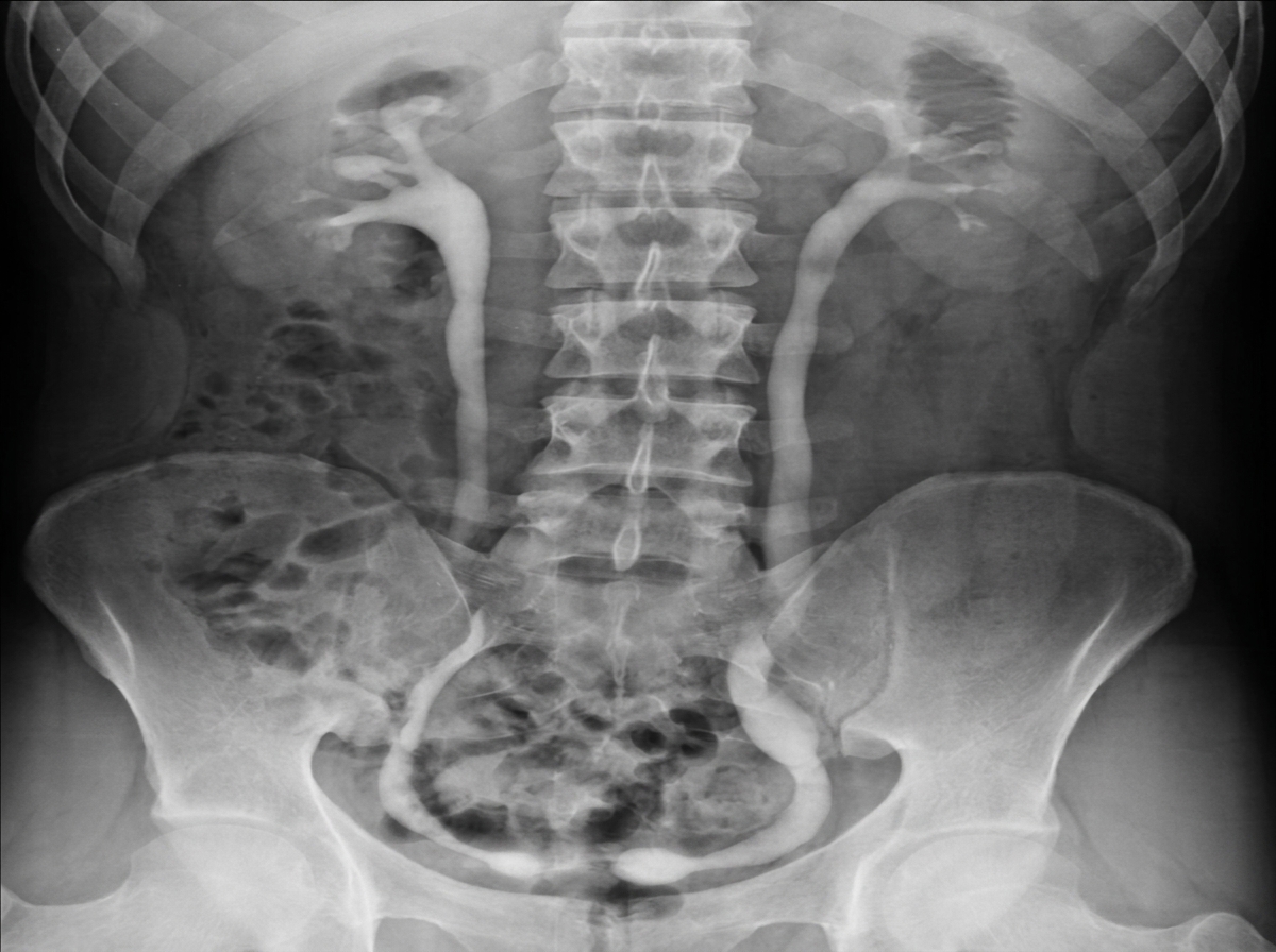 Image for question 1