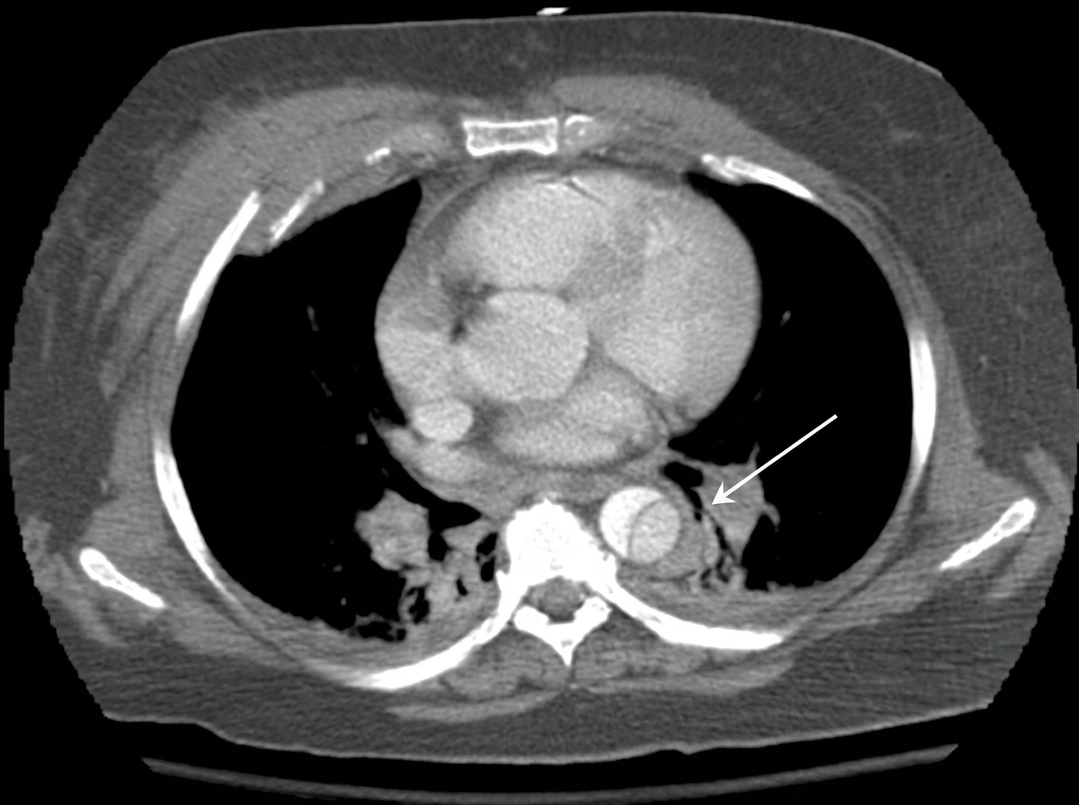 Image for question 5