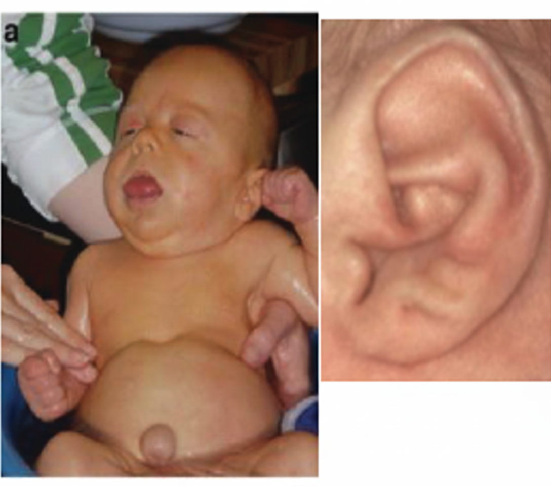 Image for question 629