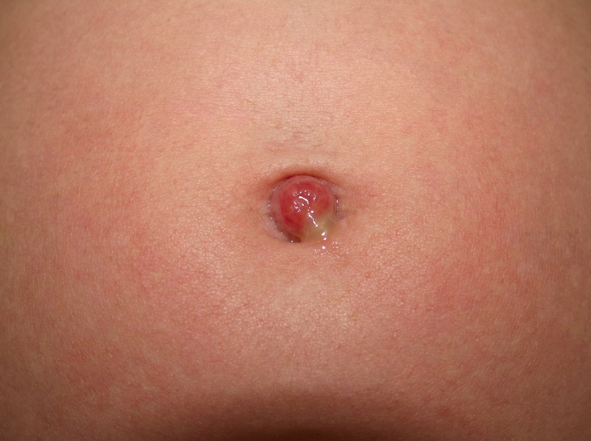 Image for question 8