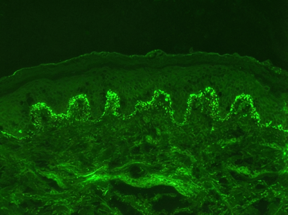 Image for question 5