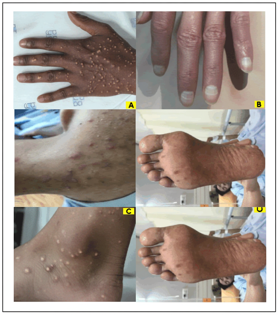 Image for question 5