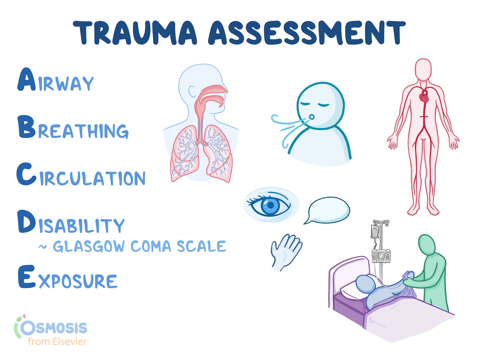 ATLS Trauma Assessment Diagram