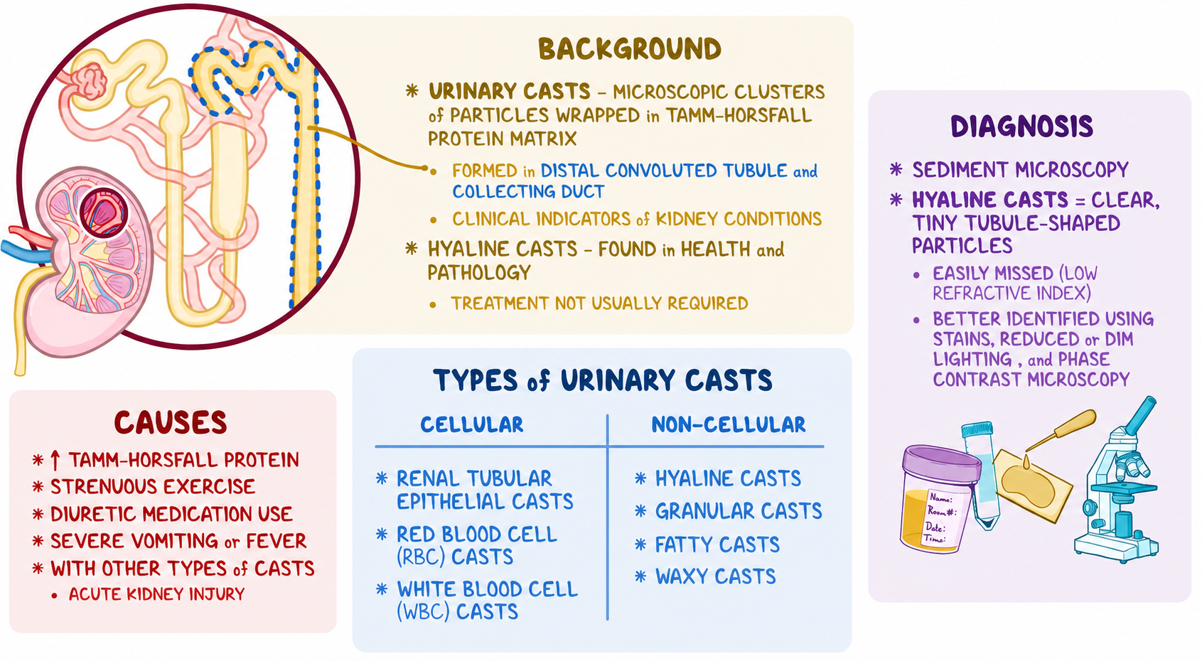 Urinary Casts: Types, Causes, Background, and Diagnosis