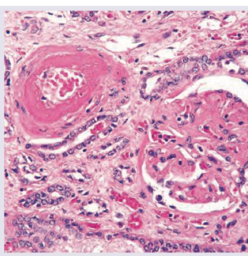 Image for question 261