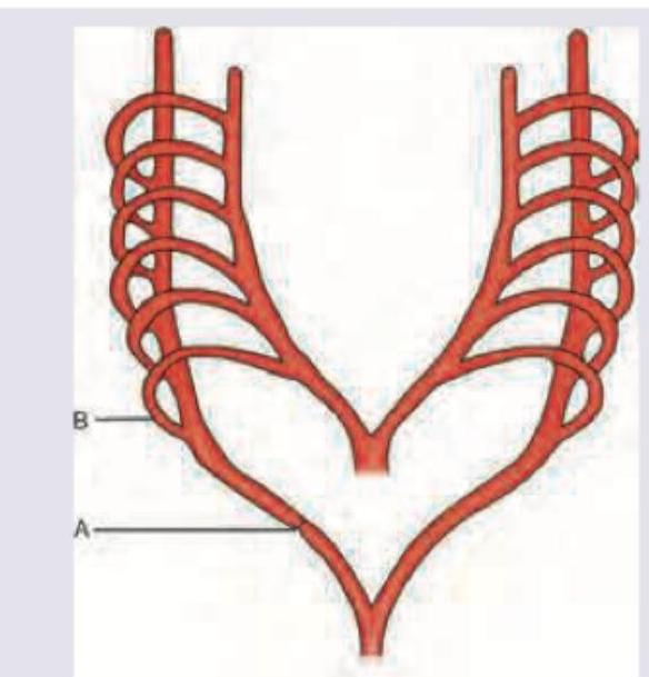 Image for question 10