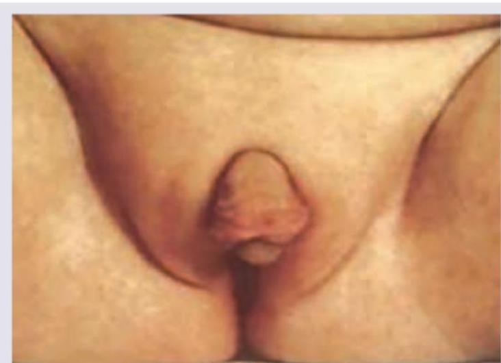 Image for question 7