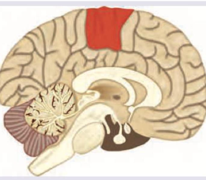 Image for question 6