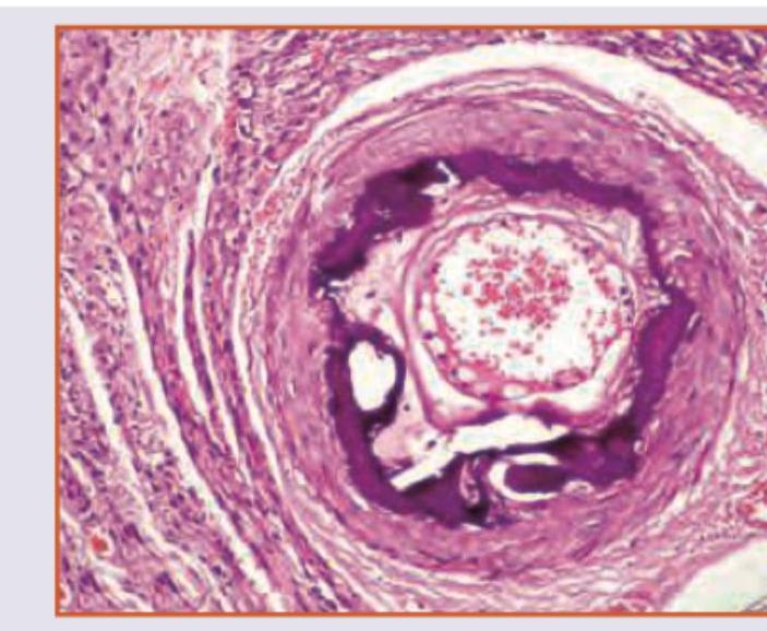 Image for question 10