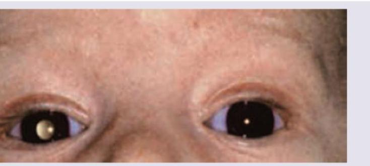 Image for question 266