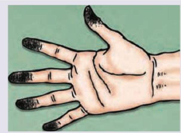 Image for question 10