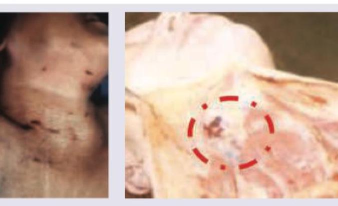 Image for question 3