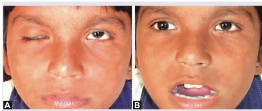 Image for question 6