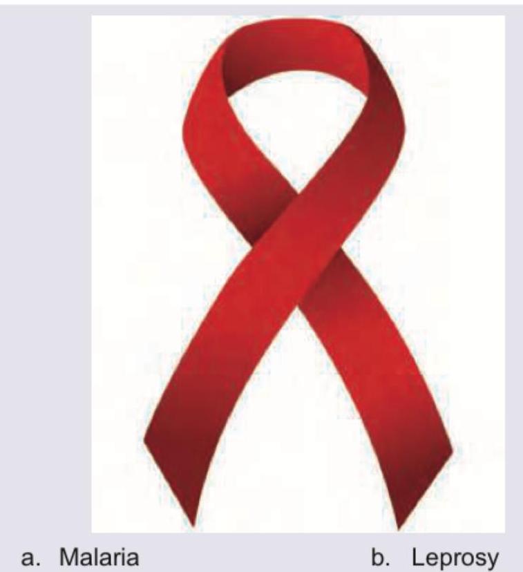 Image for question 2035